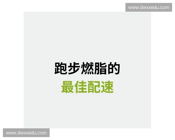 配速策略在跑步训练中的应用与优化方法解析
