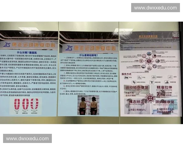 肌群协调训练在运动表现与康复中的应用与重要性分析