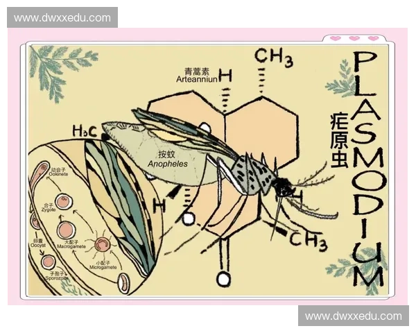 瞬间爆发的力量与影响：从微观到宏观的全面解析与应用